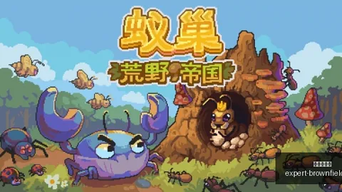 麦卡利斯特逆袭秀：进球助力合同新篇章合约未来悬而未决